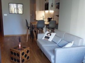 Studio confortable rénové avec WIFI à Chamonix - FR-1-517-69